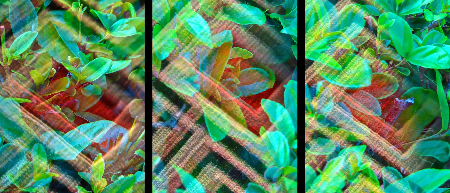 "Emmanuel Benador" © 2024 Heinz Lechner