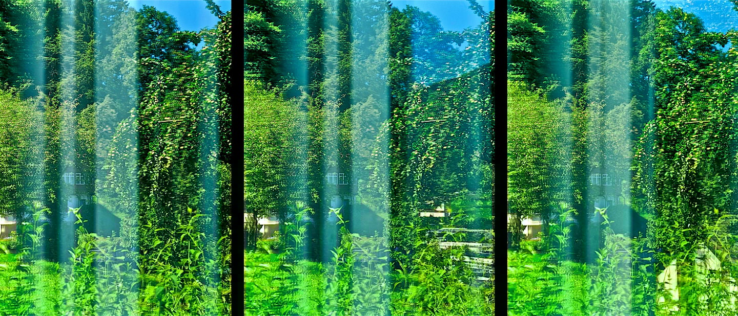 "Georg Danzer" © 1998 Heinz Lechner