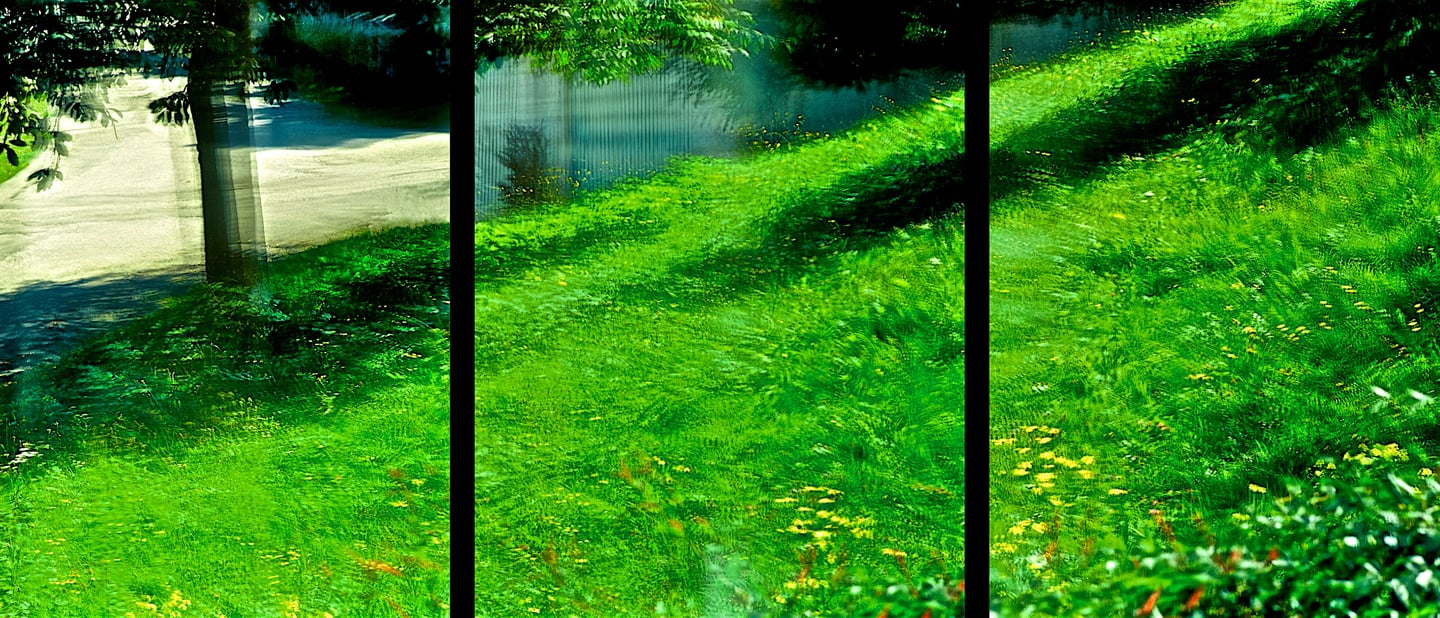 "James Brown" © 1998 Heinz Lechner