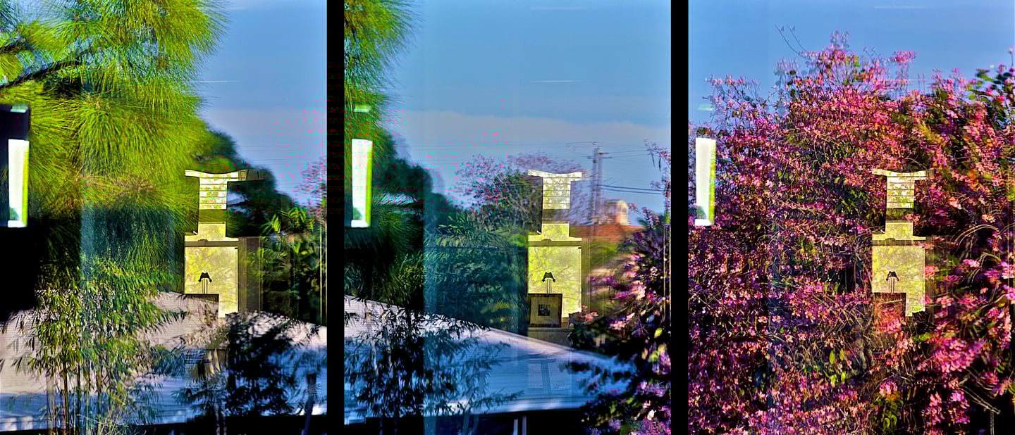 "Robert Fripp" © 2000 Heinz Lechner