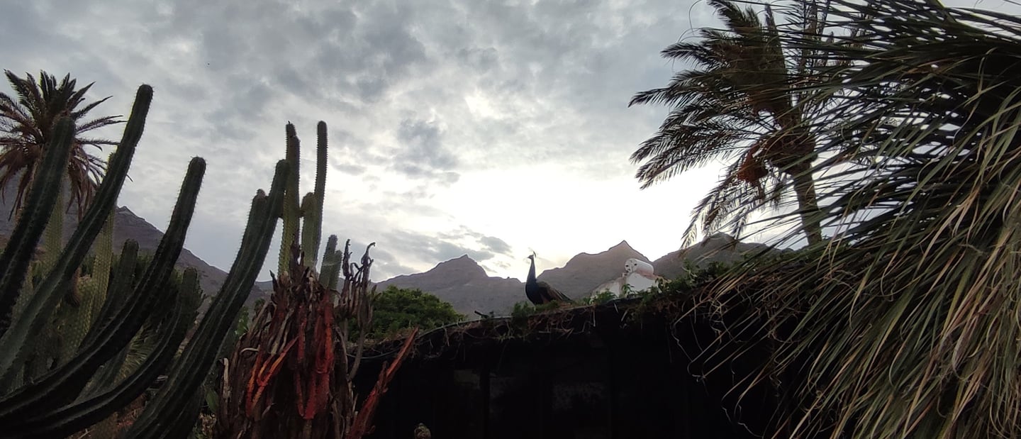 La Aldea de San Nicolas - Gran Canaria - Spain