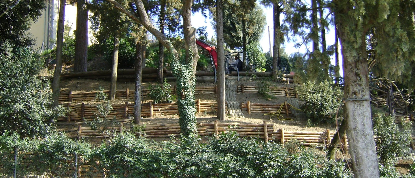 Vista generale del versante consolidato: intervento di ingegneria naturalistica con palificate e con