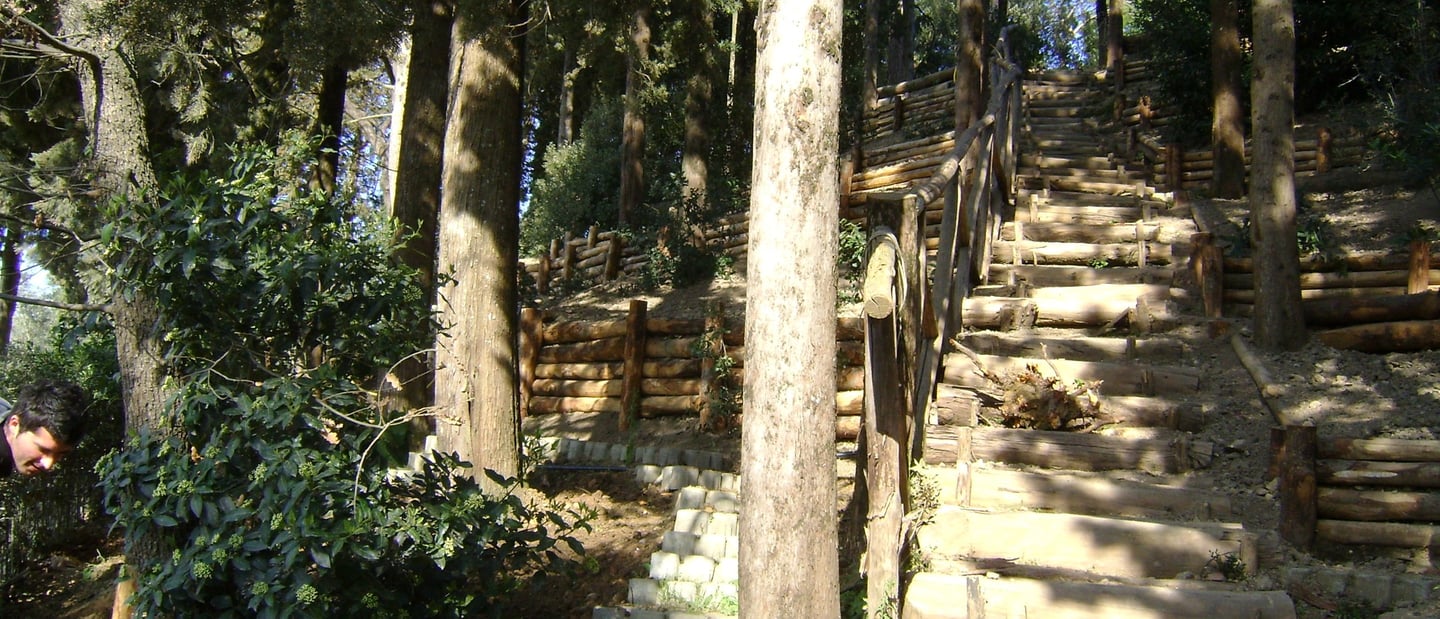 Scale in legno e pietra: accesso sicuro e naturale lungo il pendio.