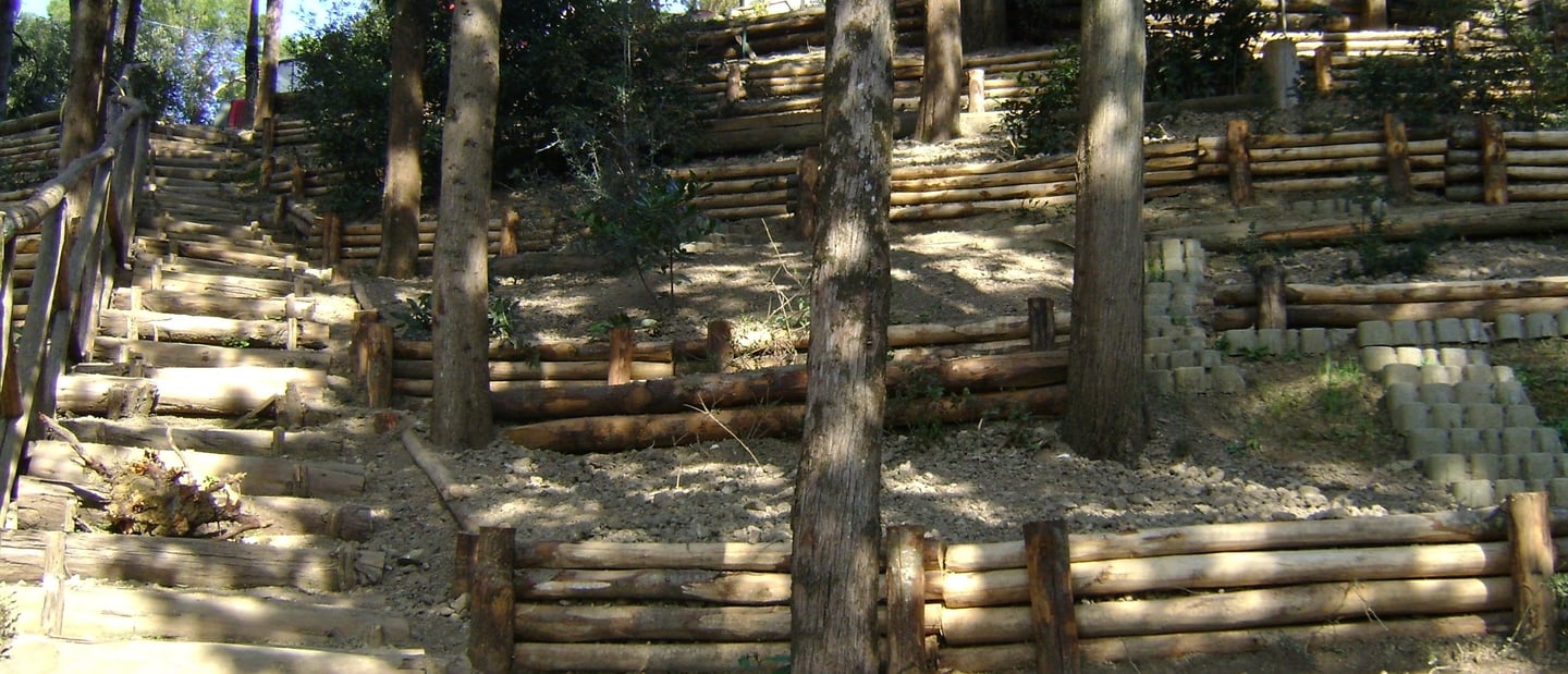 Strutture integrate con la vegetazione: il lavoro si fonde armoniosamente con l’ambiente boschivo.