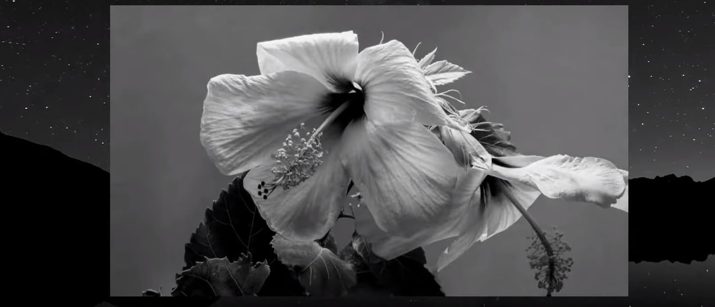 Alpha Steppa x Nai-Jah - Omo Kibish