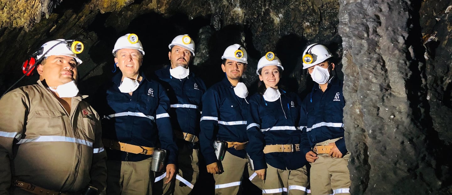 Medicina del trabajo 45 Mina