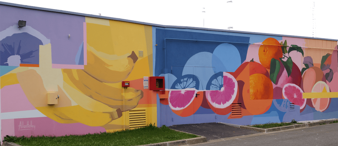 mural in the schools of Vert-Buisson by Allan Halley