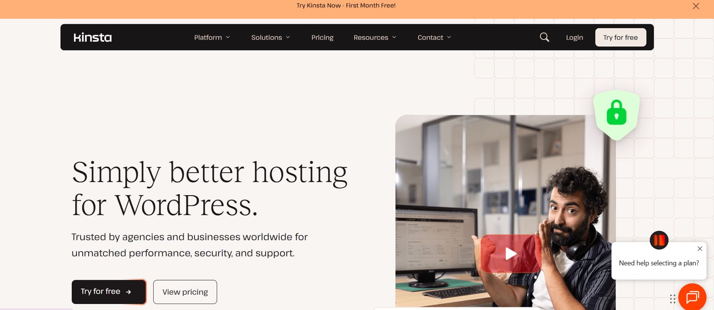 kinsta web hosting software review