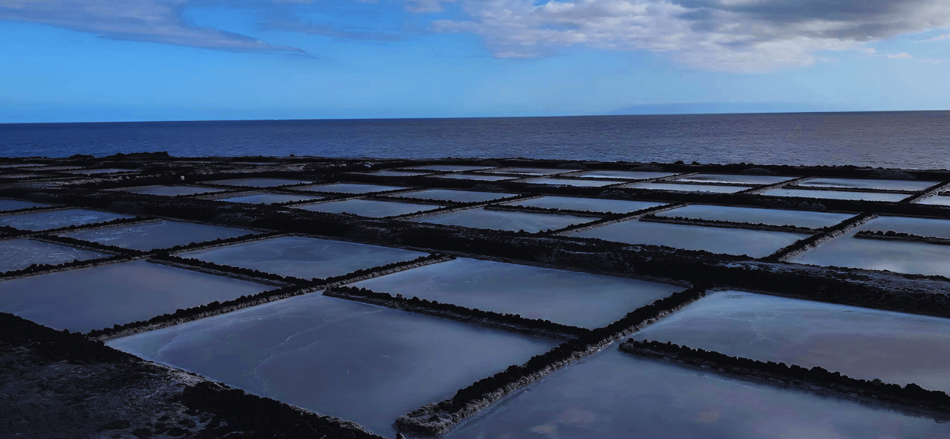 Salt Marshes - Salinas de Fuencaliente - La Palma - Spain 