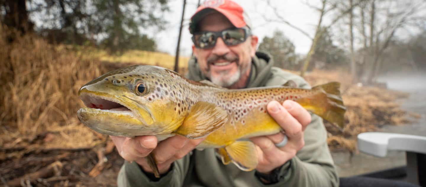 South Holston River Brown Trout: March 2026