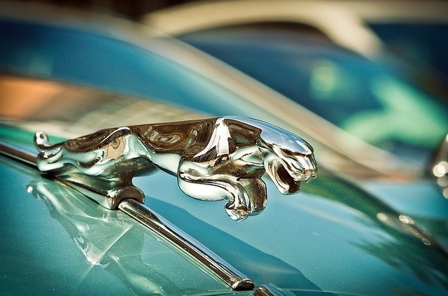 écusson jaguar