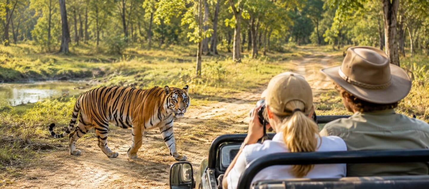Australian Couple watch Tiger at Tadoba National Park