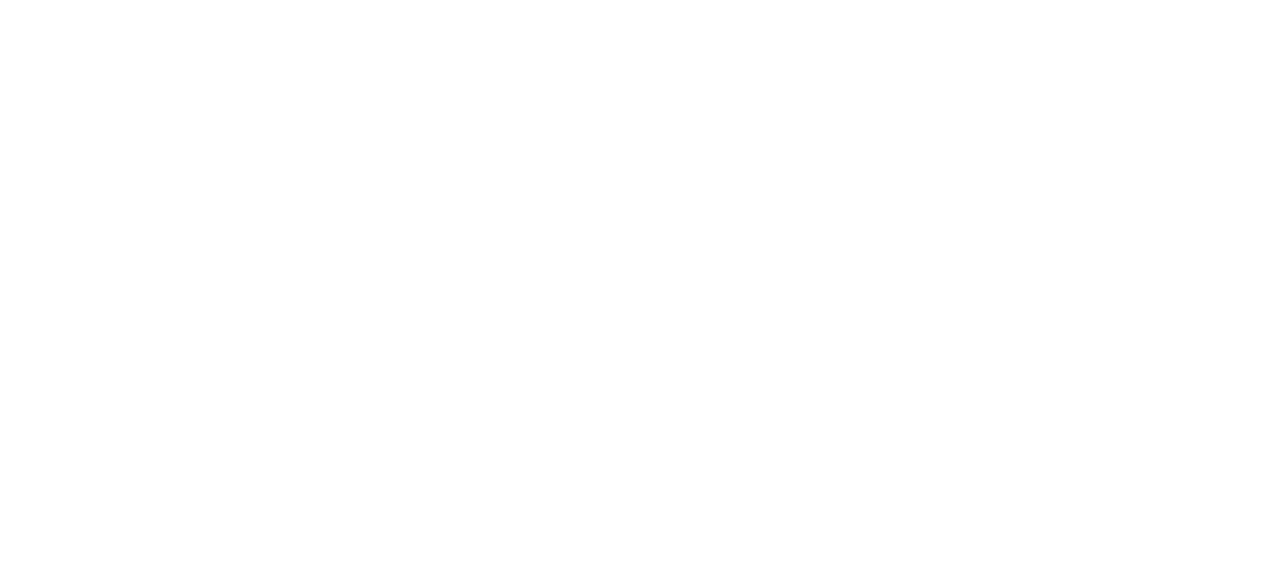 Don Silver Logo