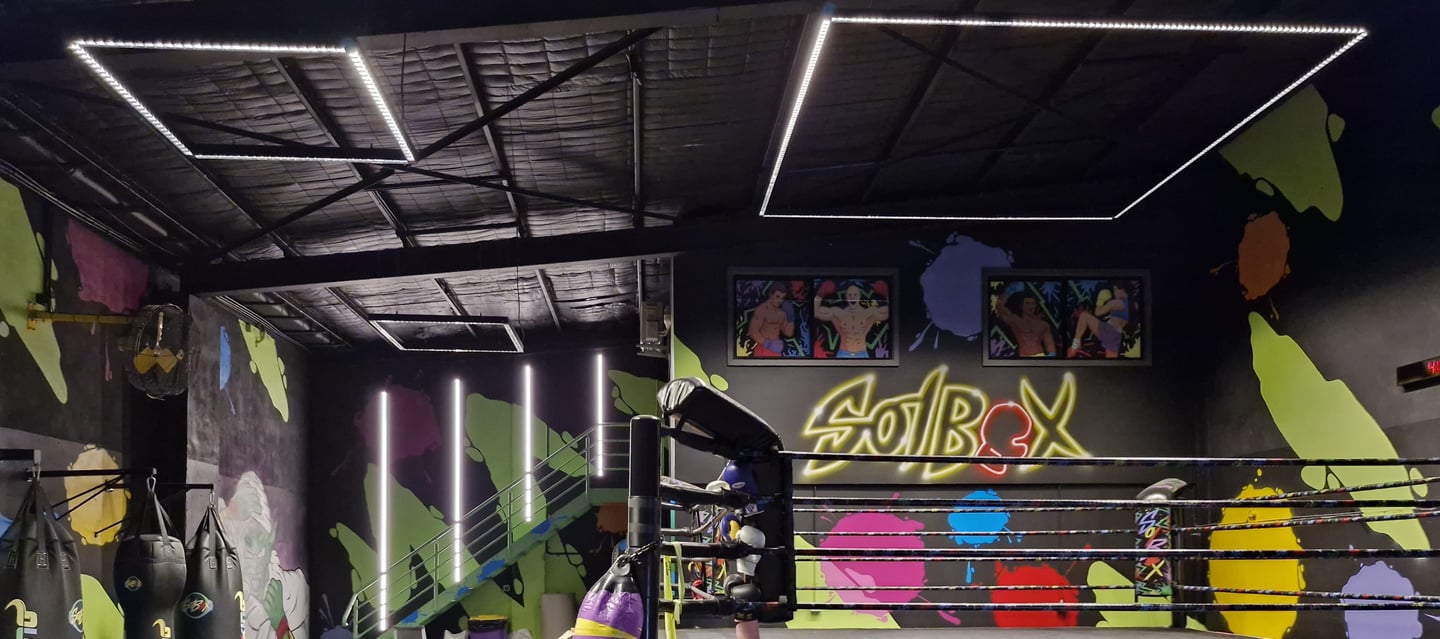 Modern lighting for a professional boxing gym, with suspended linear lighting
