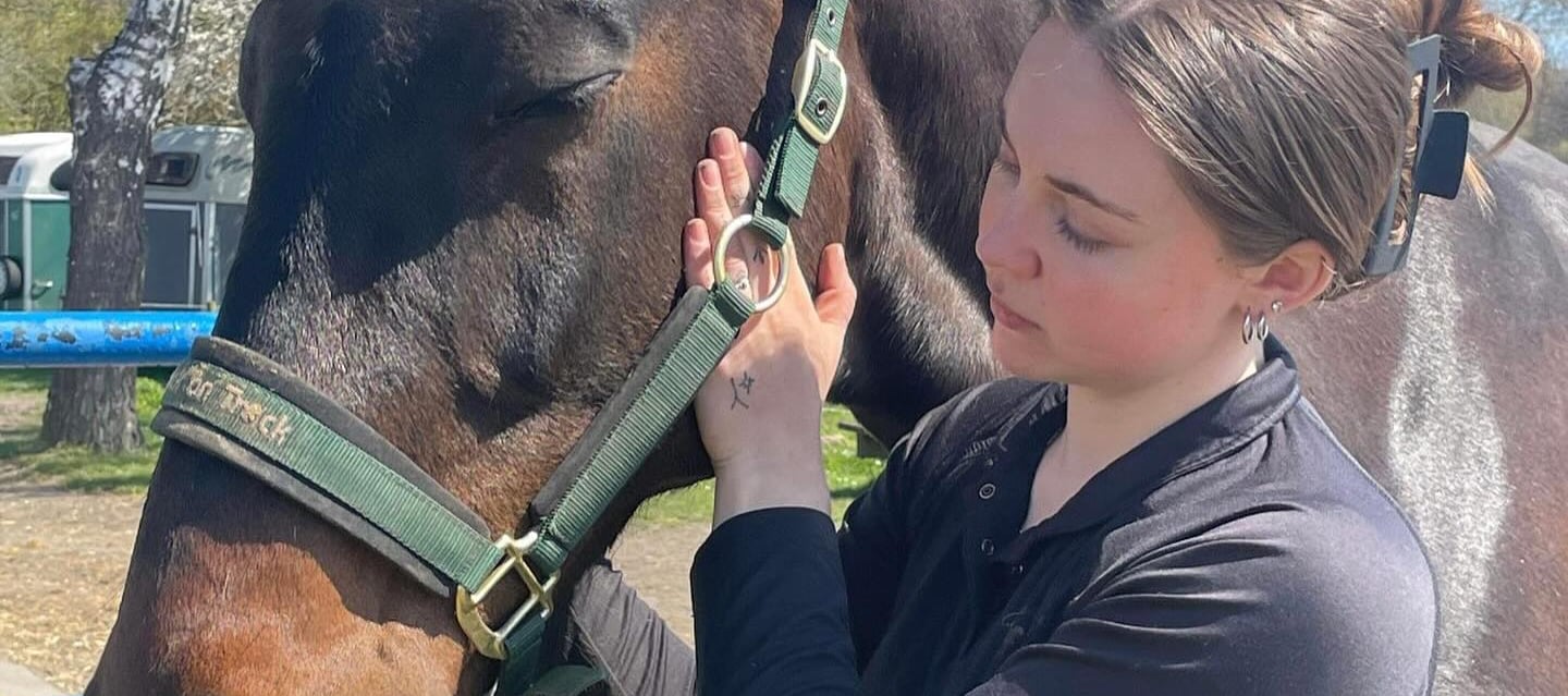 Hesteterapeut på Bornholm arbejder med en hest i et roligt udendørs miljø
