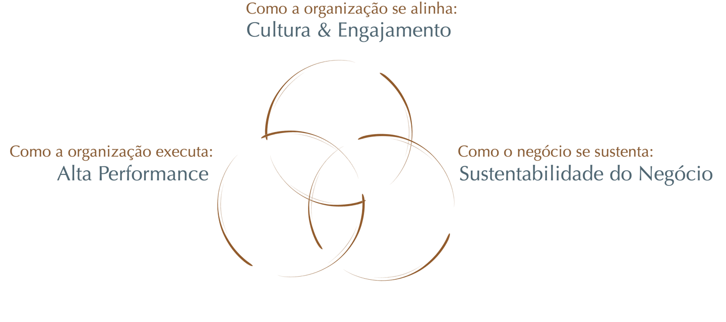 Elemento visual das três dimensões interdependentes Áureas Consulting