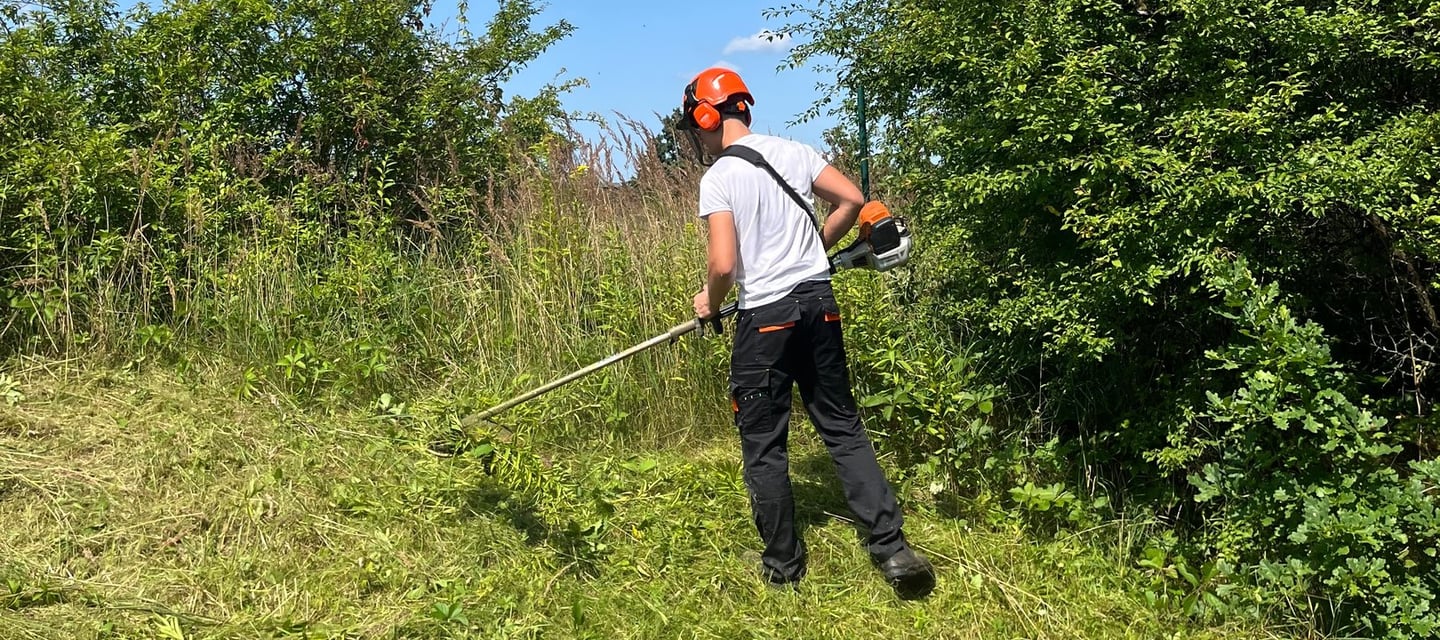 apleistu sklypų tvarkymo darbai