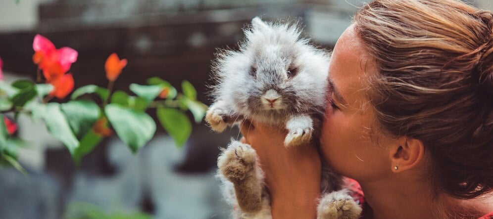 a woman holding a kitten kitten kitten kitten kitten kitten kitten kitten kitten kitten kitten kitten