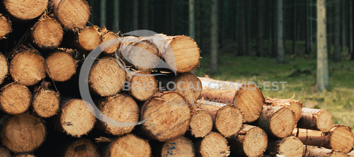 une pile de rondins empilés les uns sur les autres