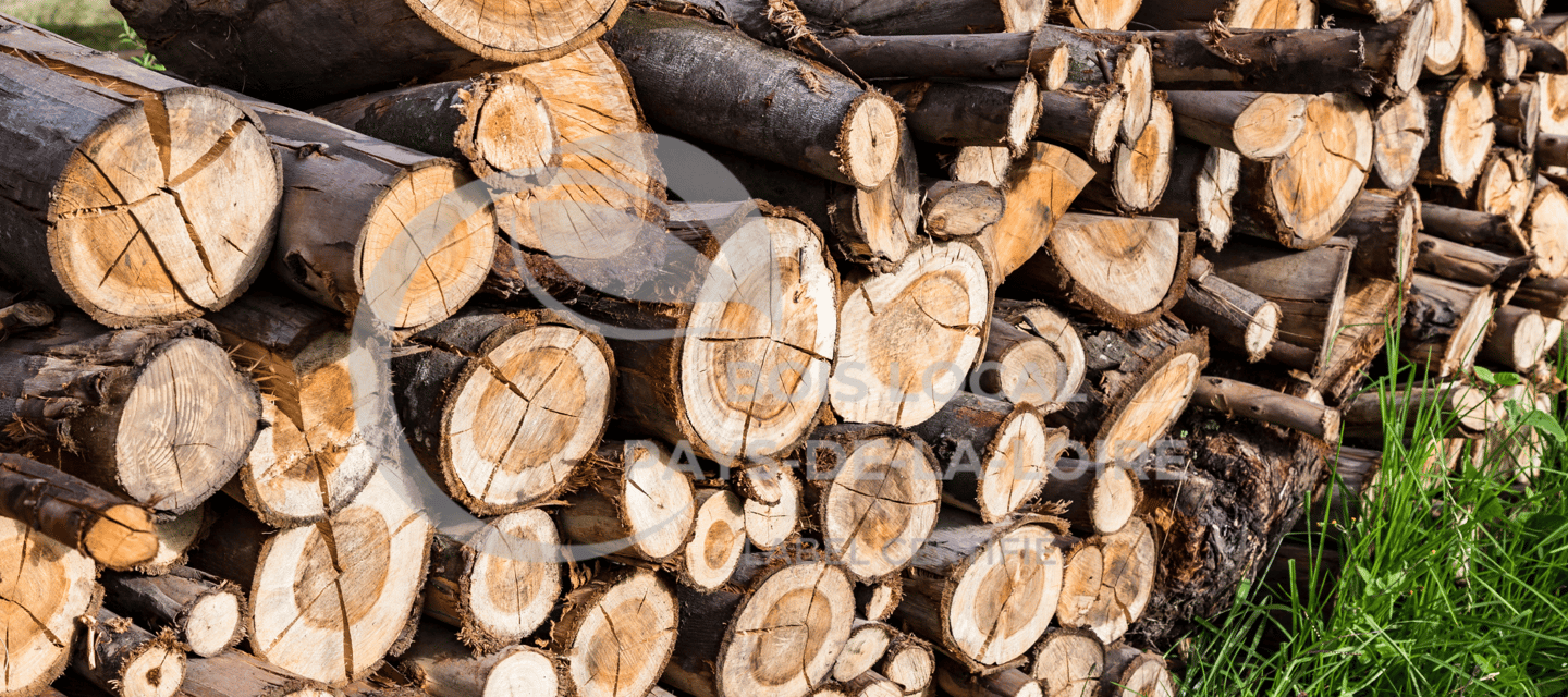 une pile de bûches empilées les unes sur les autres