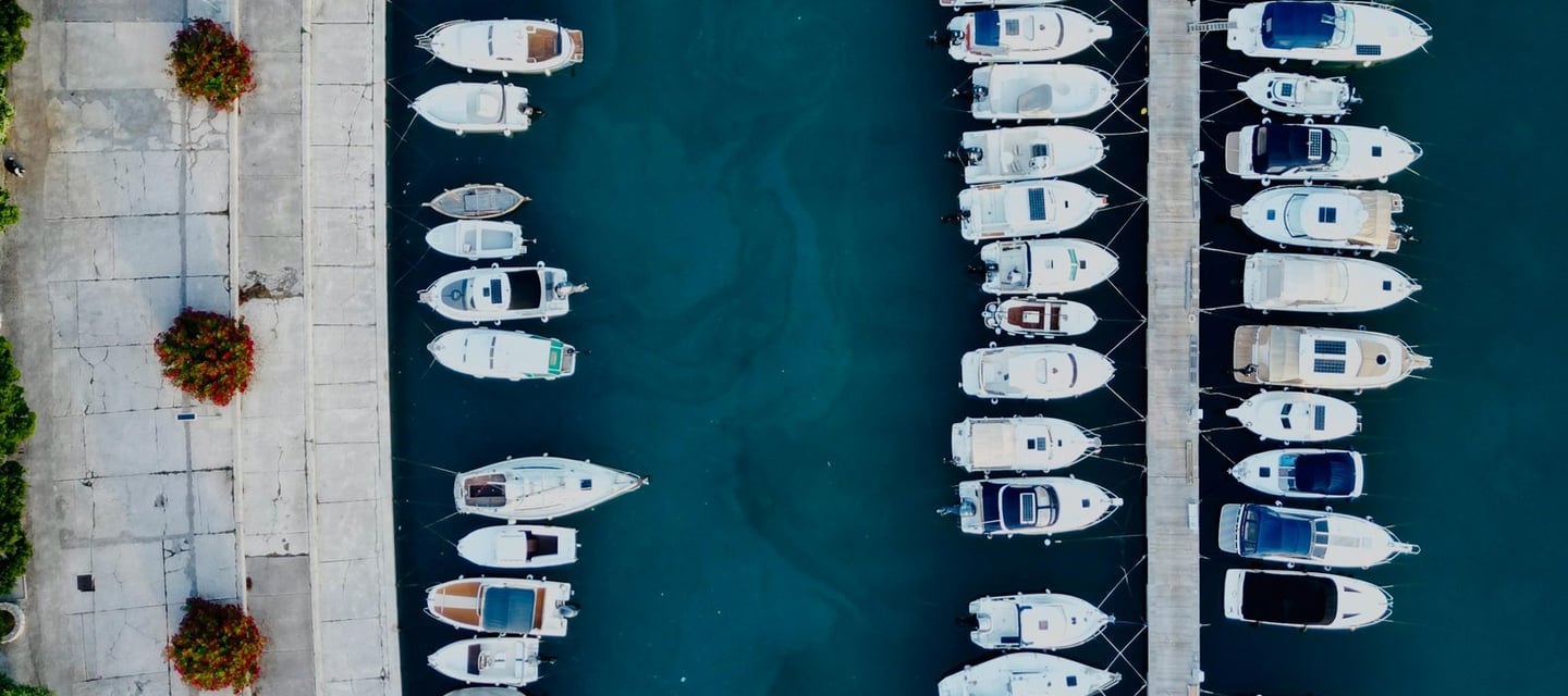 marina full of boats