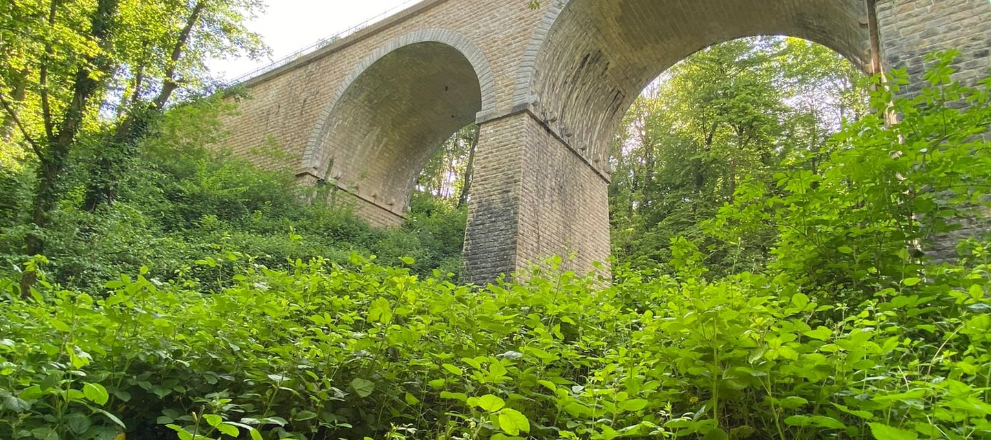Sendero Bois de Serre, adecuado para visitar en Bicicleta