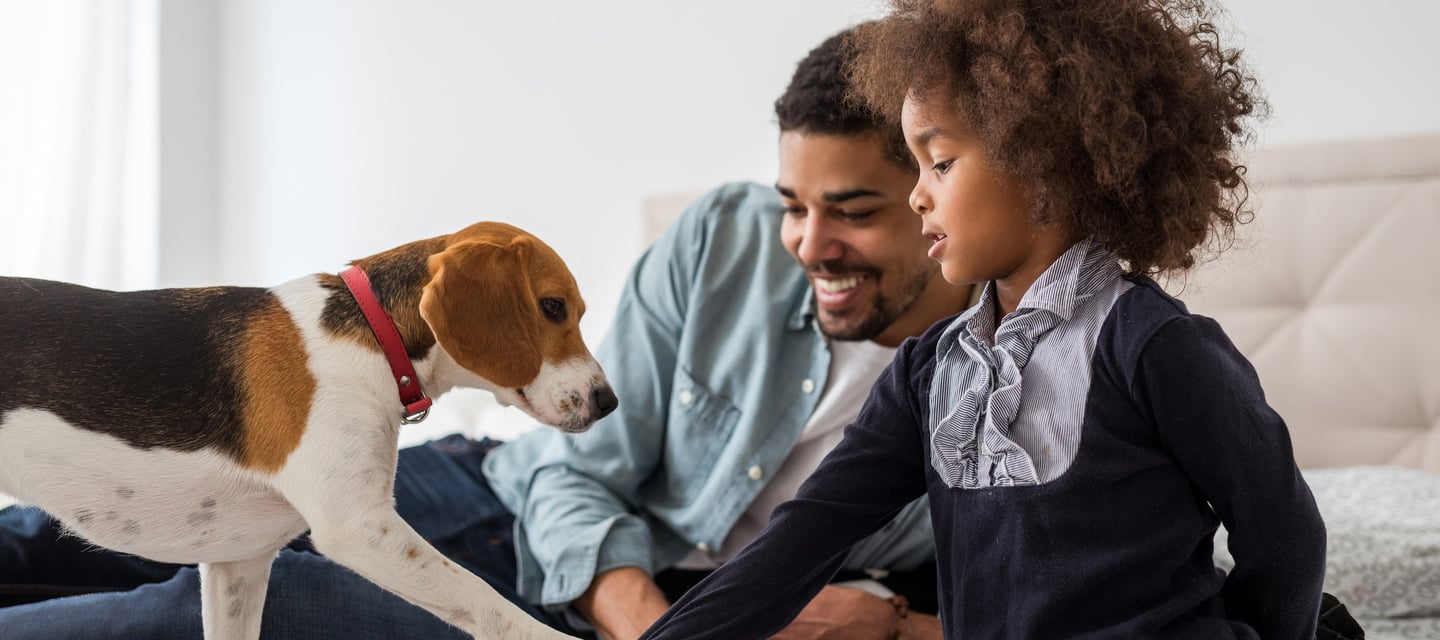 pet wellness care guide