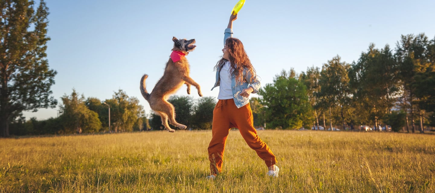pet wellness care guide