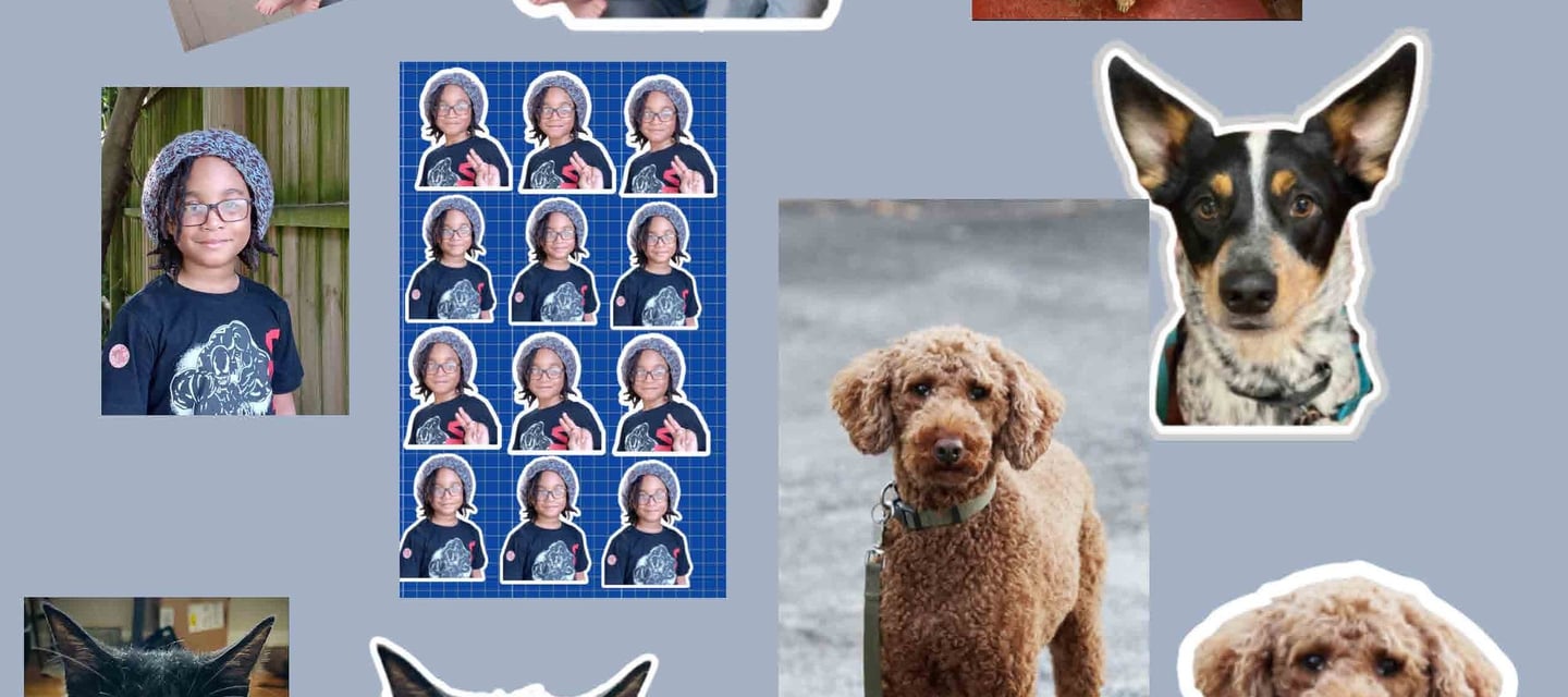 a collage of pictures of a dog and a cat