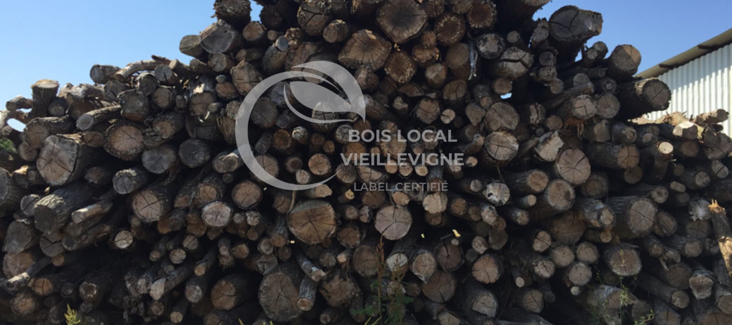 tas de troncs coupés