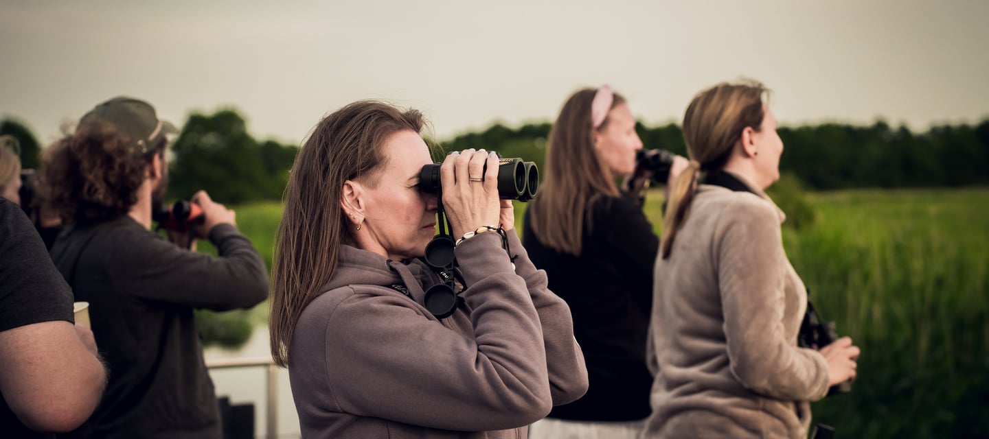 A group of people birdwatching outdoors with binoculars in a scenic nature reserve.