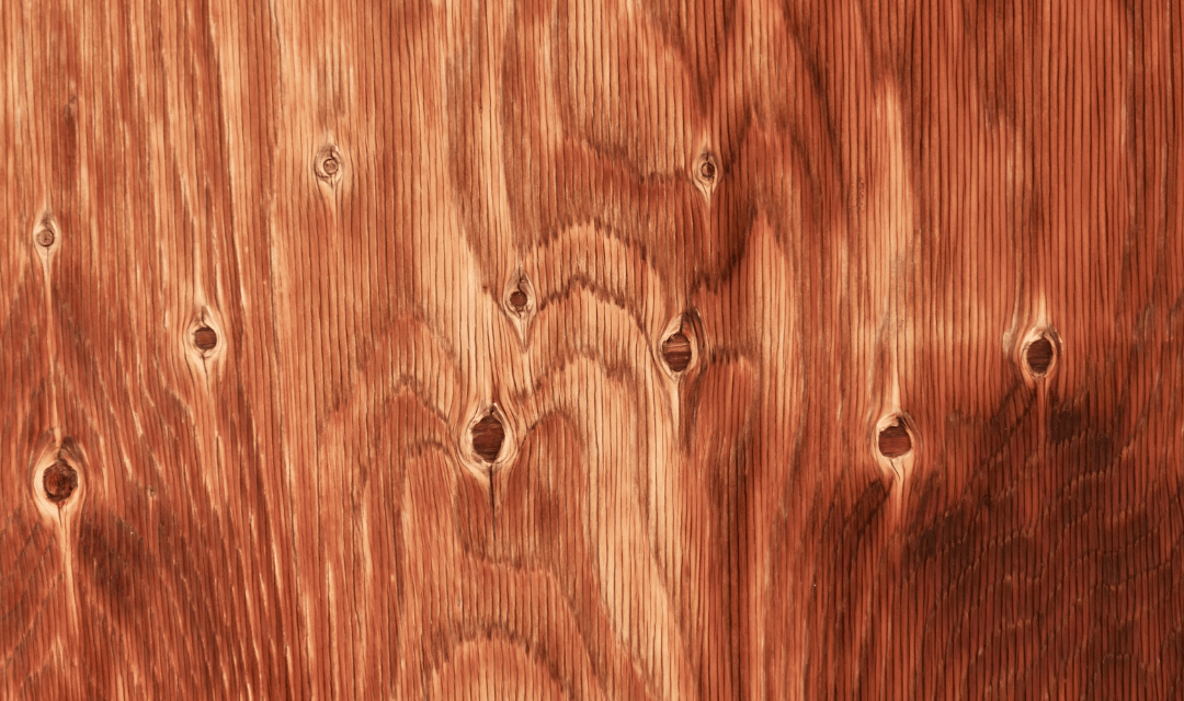 Blackboard supplier in India