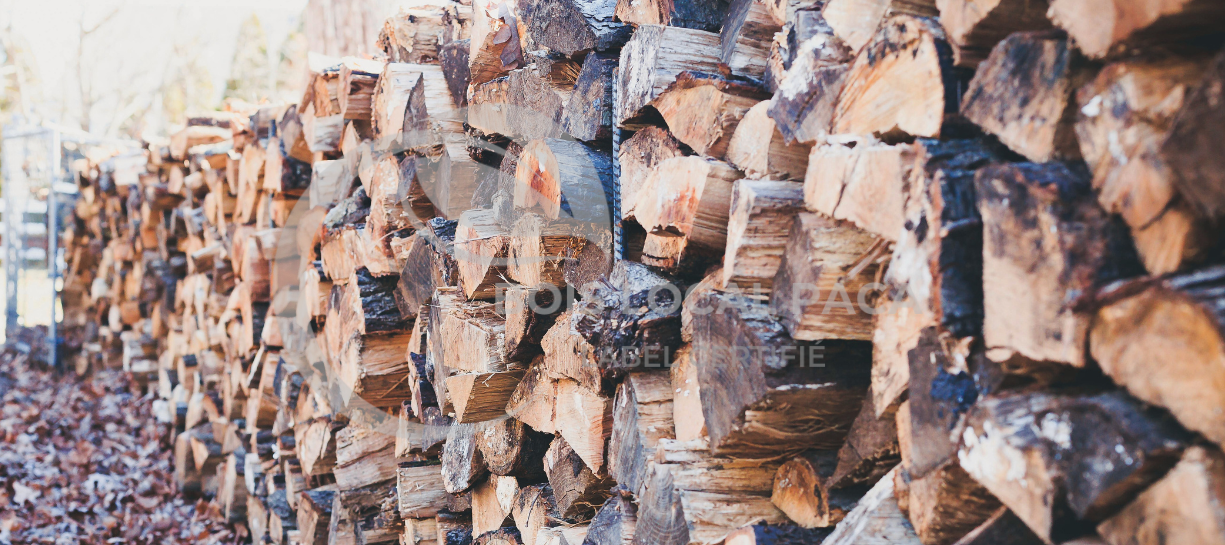 un tas de bûches empilées les unes sur les autres