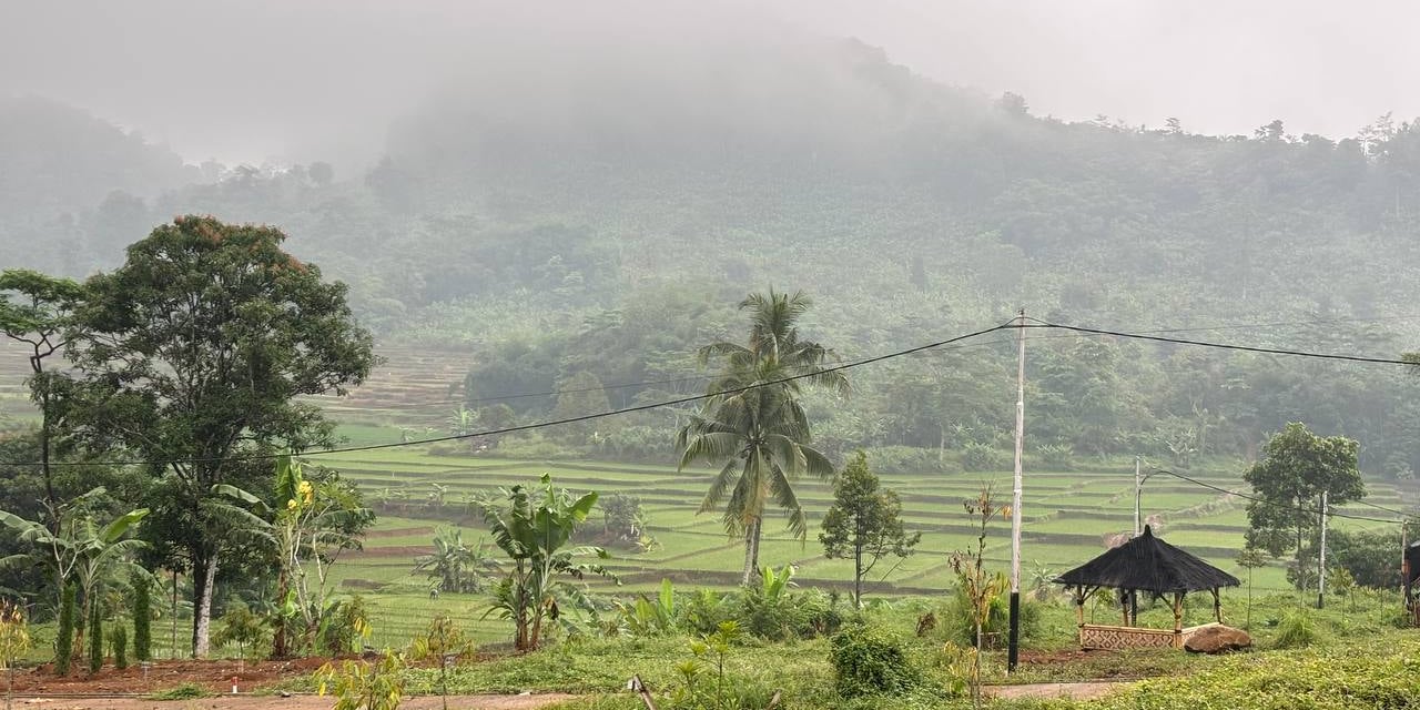 nuansa alam golden view