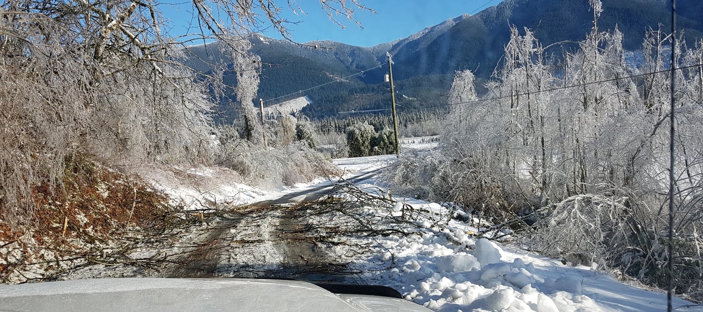 picture over the hood of a truck to a road with snow and ice covered trees. There is a large broken tree limb on the road