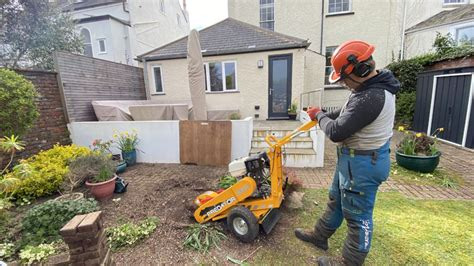 Retford tree stump removal