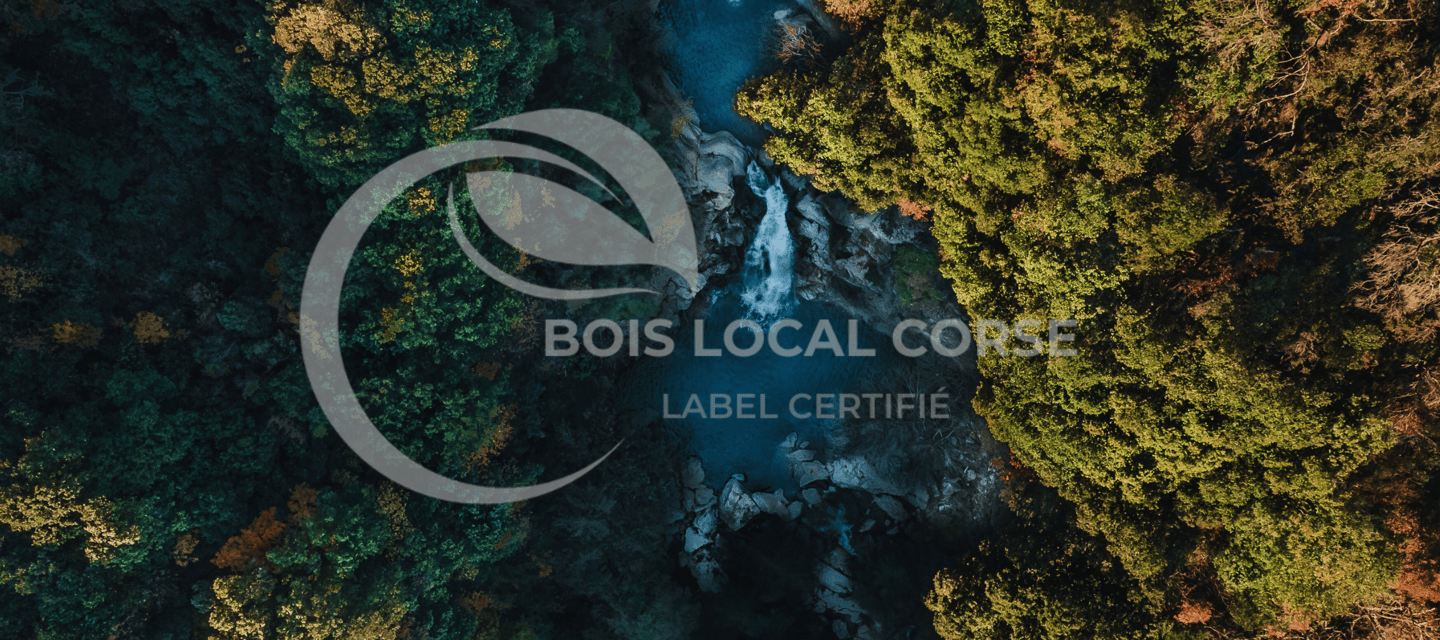 foret de bois local avec des arbres et de l'eau turquoise