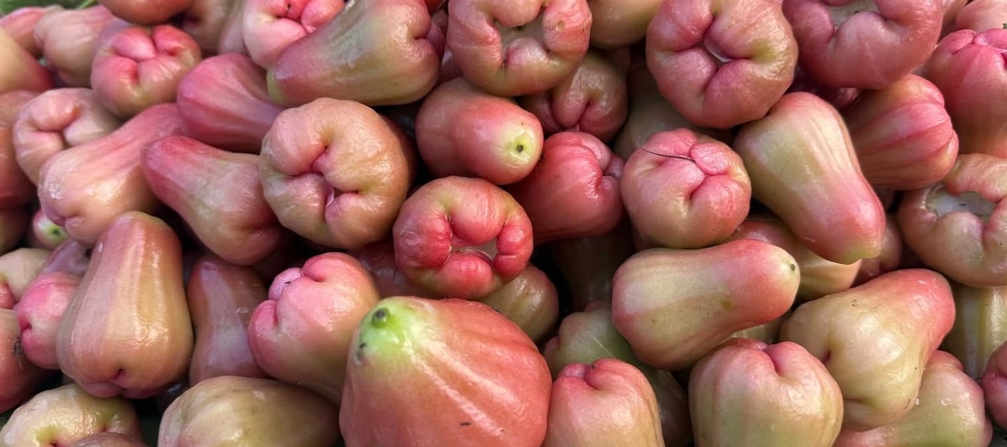 Agriculture at Mannavanur