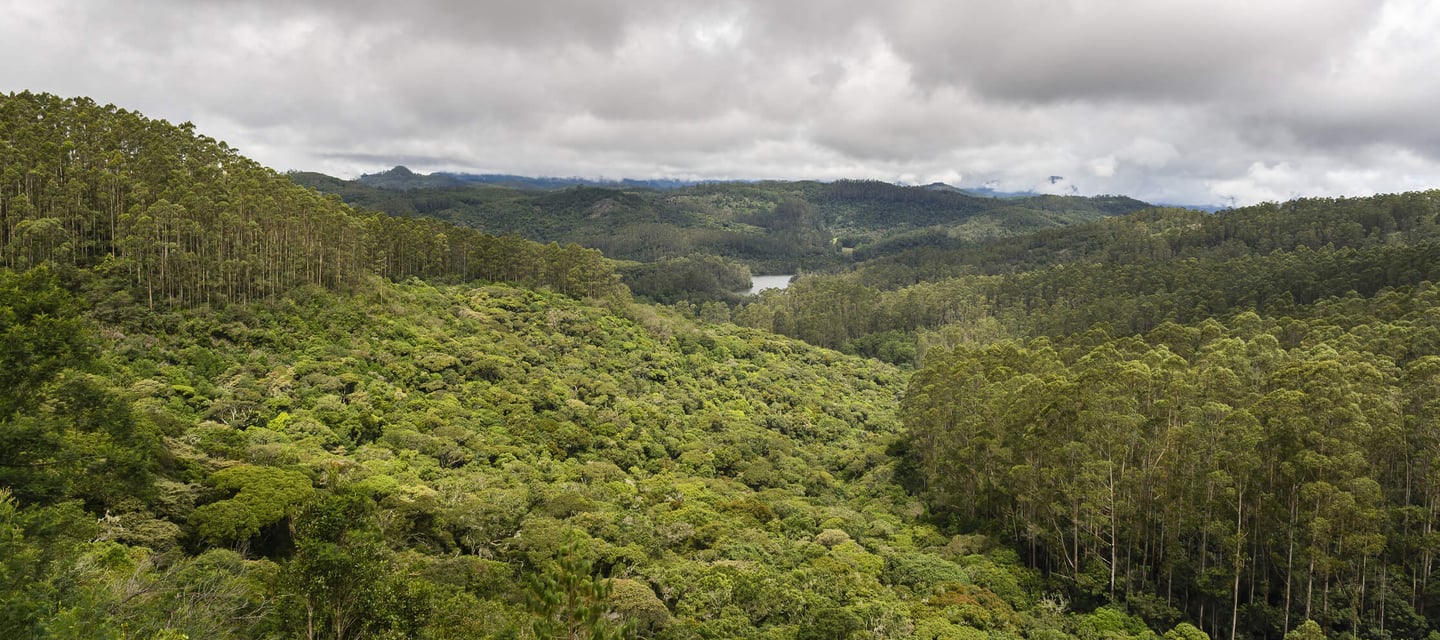 Berijam Lake view