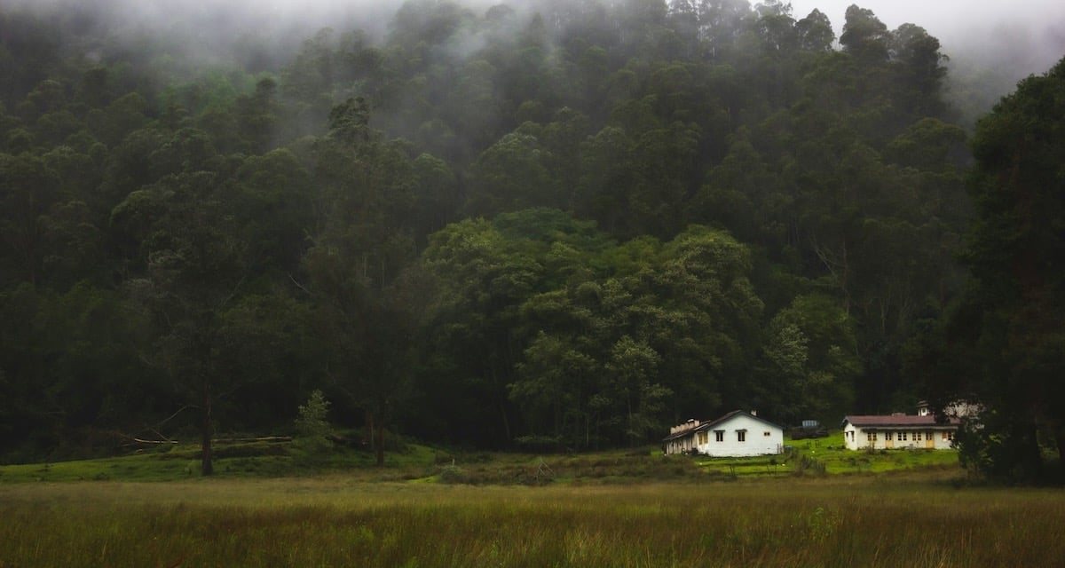 Near Berijam Lake 