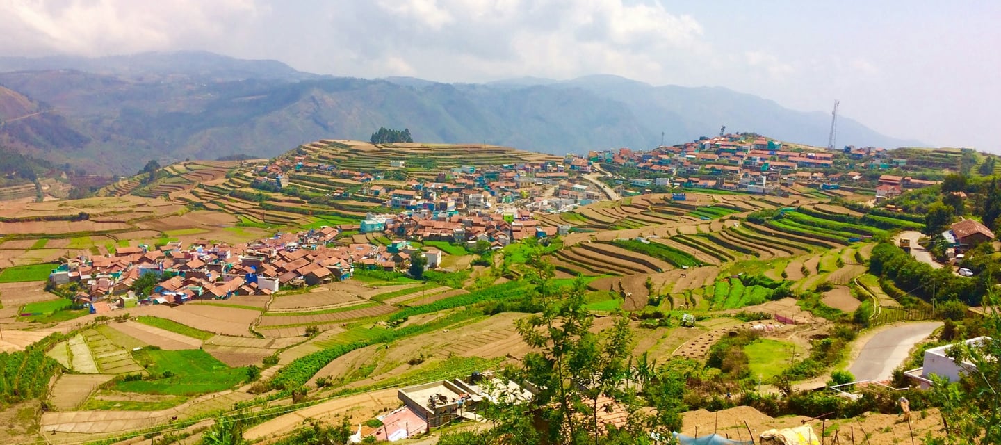 Poombarai Terrace Farming Showcase