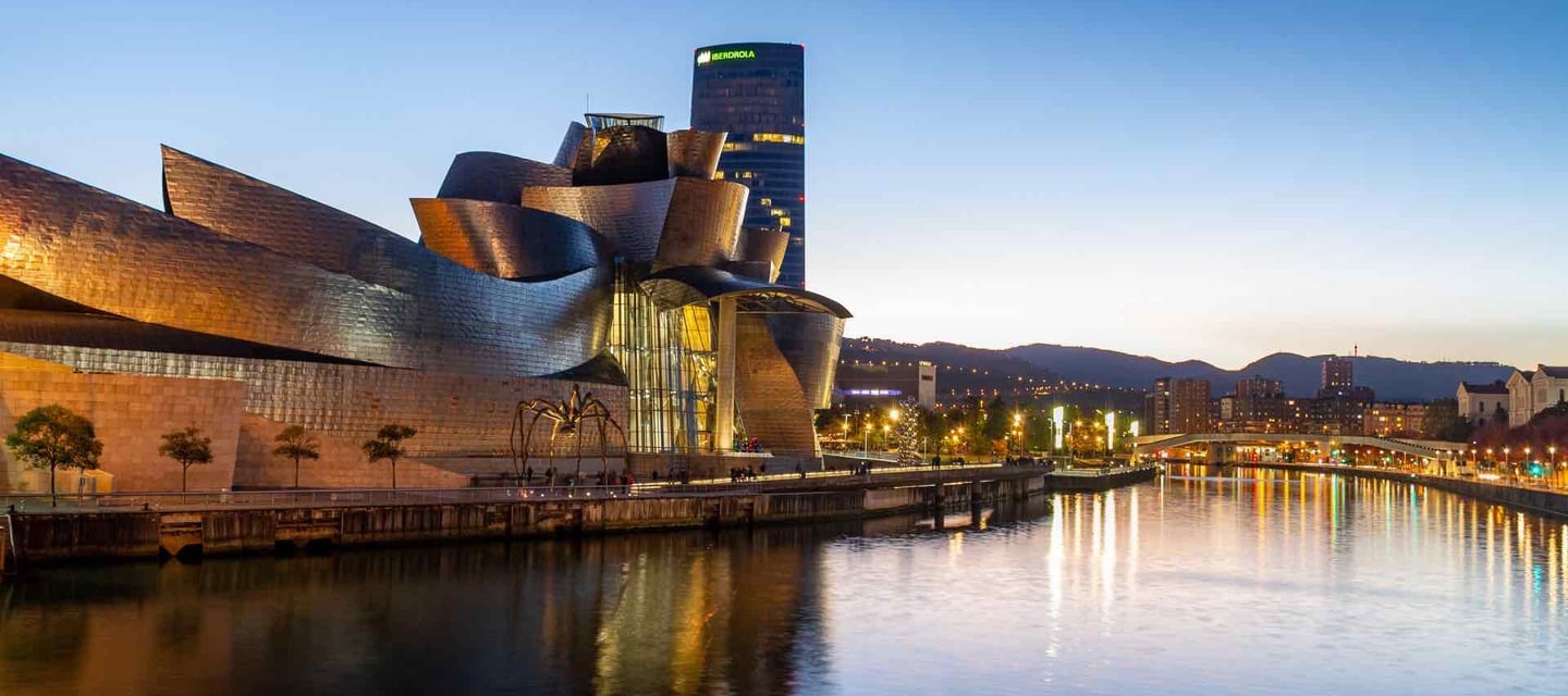 Musé guggenheim Bilbao pays basque excursion privée VTC taxi