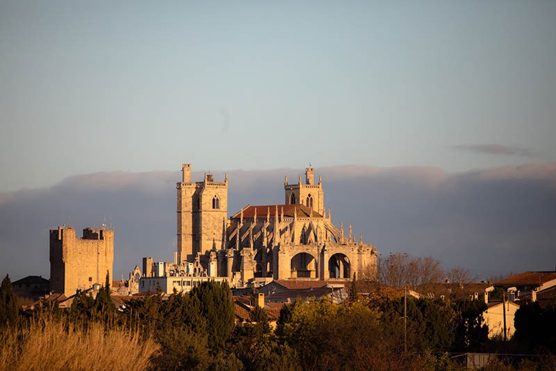 cathédrale de Narbonne - cathedral of Narbonne