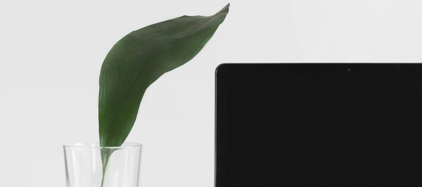 Computer with leaf in glass