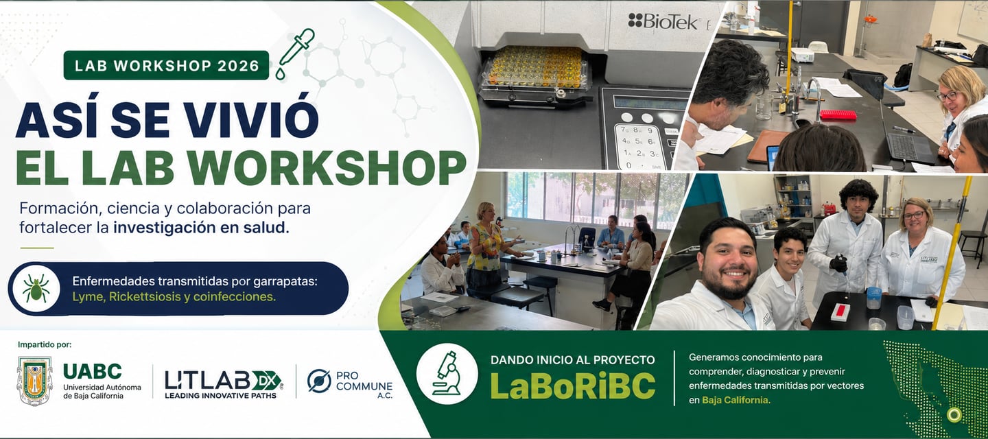 Banner de workshop en UABC