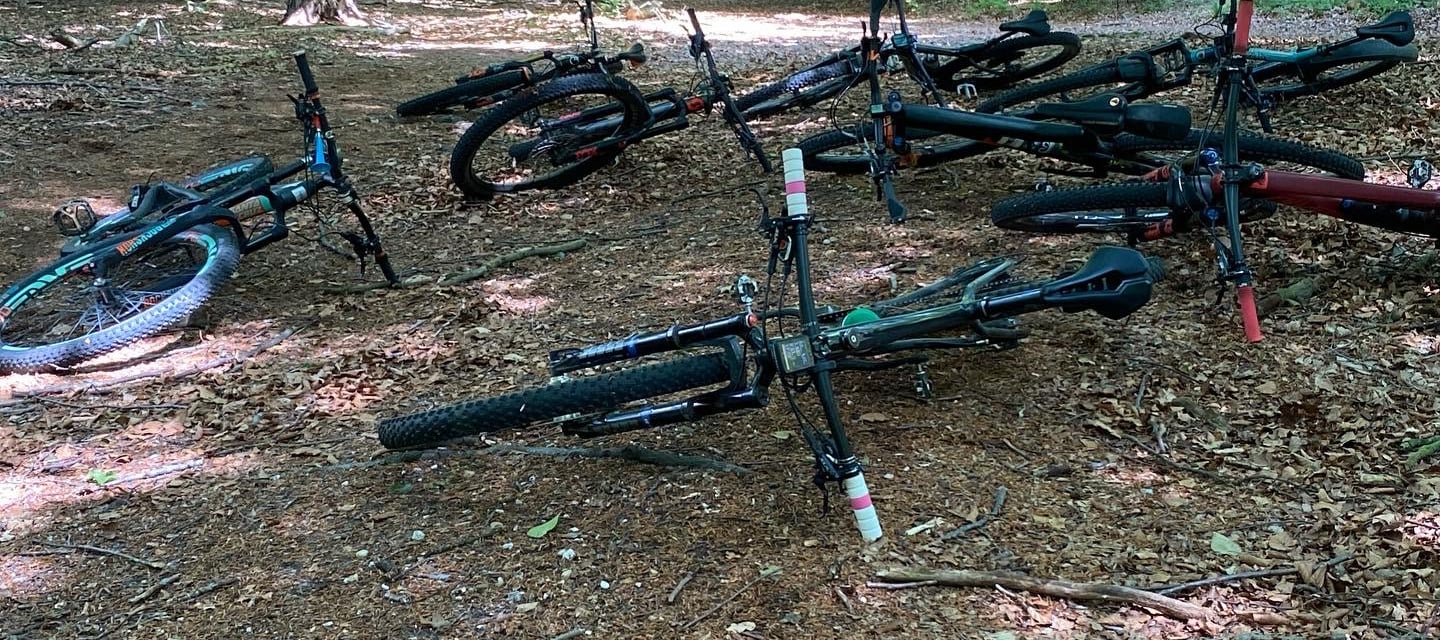 a bunch of bikes parked in a wooded area