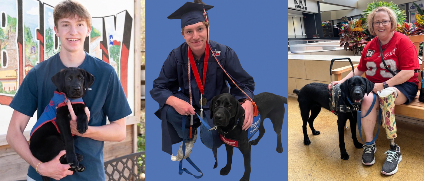 a service dog as a puppy then at graduation then with his final partner who has a prosthetic leg 