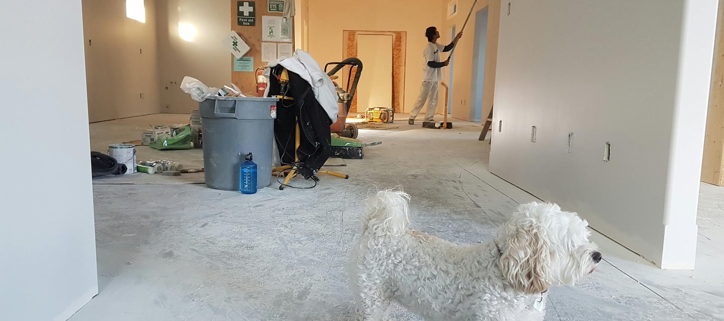 Builders and painters