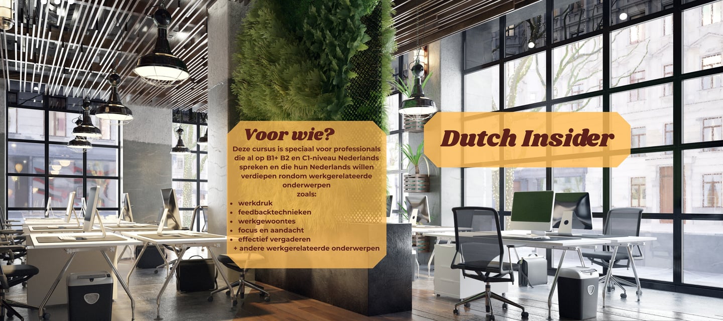 Dutch Course B1 B2 C1