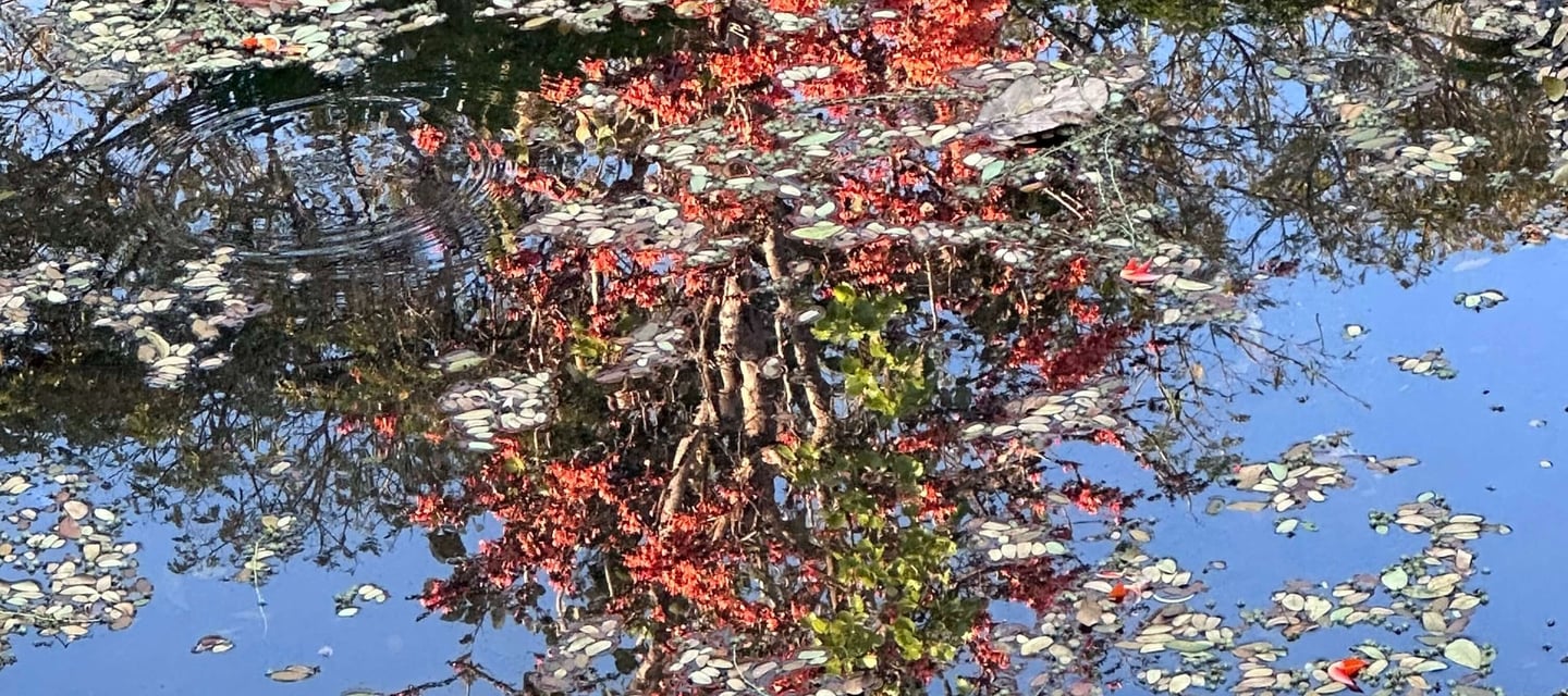 psichologine grupe savivokai ramybe ir vidinis aiskumas